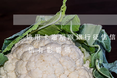 信用卡逾期跟銀行征信(信用卡逾期跟銀行征信有影響嗎)