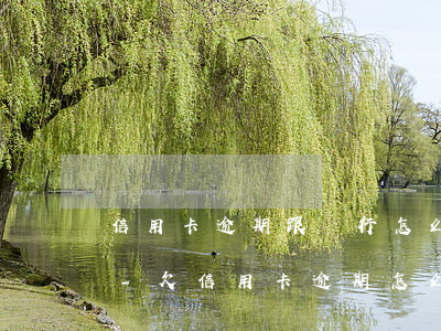 信用卡逾期跟銀行怎么協(xié)商還款-欠信用卡逾期怎么去協(xié)商