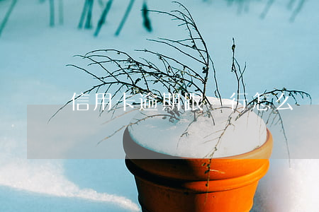 信用卡逾期跟銀行怎么說(我信用卡逾期了)