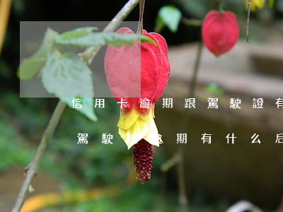 信用卡逾期跟駕駛證有關(guān)系嗎(駕駛證逾期有什么后果)