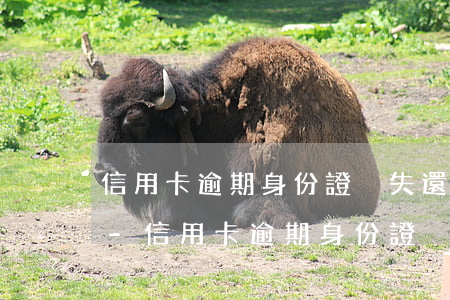 信用卡逾期身份證丟失還能補(bǔ)辦嗎-信用卡逾期身份證丟失還能補(bǔ)辦嗎怎么辦