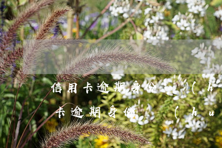 信用卡逾期身份證會(huì)拉黑嗎 信用卡逾期身份證會(huì)拉黑嗎怎么辦