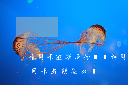 信用卡逾期身份證還能用嗎6(身份證到期信用卡逾期怎么辦)