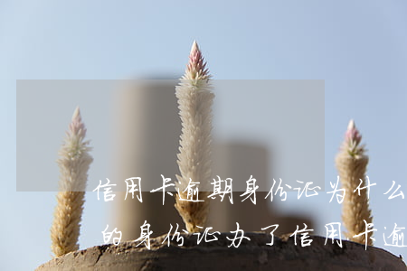 信用卡逾期身份证为什么用不了 别人用自己的身份证办了信用卡逾期不还怎么办