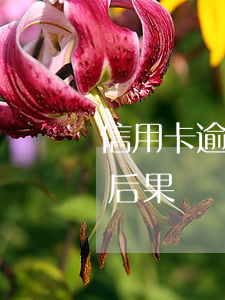 信用卡逾期躲債后的后果(信用卡逾期帶來的后果)