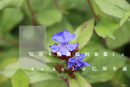 信用卡逾期躲刑事責(zé)任(刑法中關(guān)于信用卡逾期不還的規(guī)定)