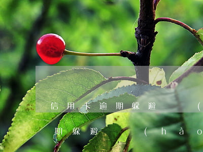 信用卡逾期躲避換號(hào)碼(信用卡逾期躲避換號(hào)碼怎么辦)