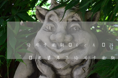 信用卡逾期車(chē)子能過(guò)戶老婆名下(信用卡逾期車(chē)子能過(guò)戶老婆名下)
