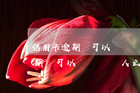 信用卡逾期車可以過戶給別人么-信用卡逾期車可以過戶給別人么?別人有影響嗎