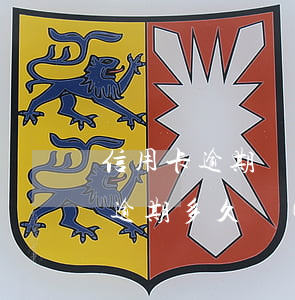 信用卡逾期車子會(huì)被收走(信用卡逾期多久會(huì)沒(méi)收車)