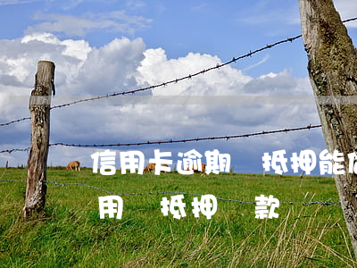 信用卡逾期車抵押能做嗎(有信用卡逾期,可以用車抵押貸款嗎?)