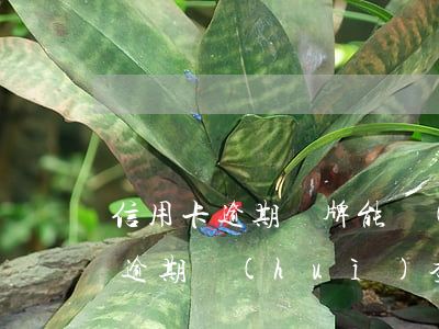 信用卡逾期車牌能識(shí)別嗎(信用卡逾期會(huì)查封我的車嗎)