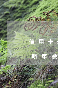 信用卡逾期車被拉走如何處理最好（信用卡逾期車被拉走如何處理）