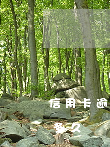 信用卡逾期車貸審批 信用卡逾期車貸審批要多久