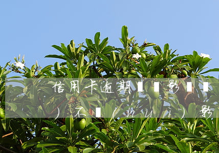 信用卡逾期車貸影響嗎(車貸逾期會(huì)不會(huì)影響信用卡)