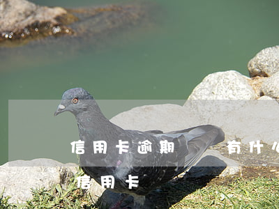 信用卡逾期車貸有什么影響(車貸逾期會影響信用卡嗎)