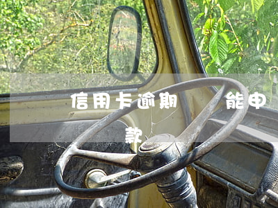 信用卡逾期車貸能申請嗎(信用卡逾期可以用車貸款嗎)