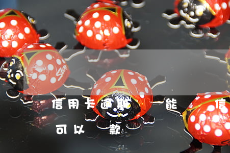 信用卡逾期車貸能辦嗎(信用卡逾期名下有車可以貸款嗎)