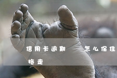 信用卡逾期車輛怎么保住(信用卡逾期會把車拖走嗎)