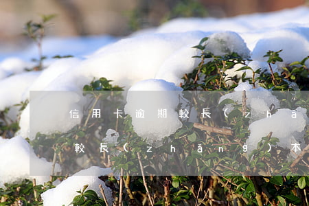 信用卡逾期較長(zhǎng)(信用卡逾期較長(zhǎng),本行是系統(tǒng)自動(dòng)扣款嗎)