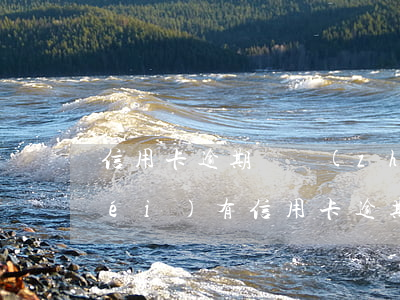 信用卡逾期較長(zhǎng)的(有沒(méi)有信用卡逾期好幾年的)
