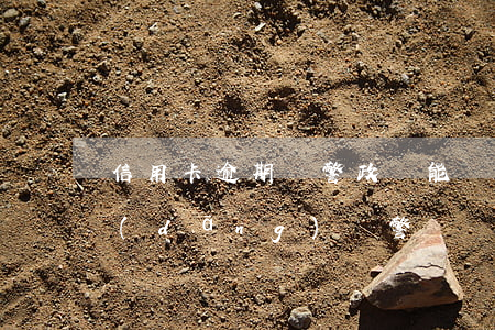 信用卡逾期輔警政審能過嗎(征信逾期可以當(dāng)輔警嗎)