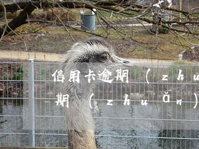 信用卡逾期轉(zhuǎn)三期 信用卡逾期轉(zhuǎn)三期