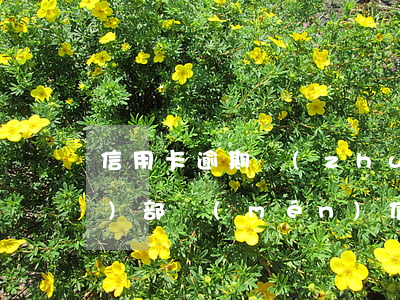 信用卡逾期轉(zhuǎn)交帳務(wù)部門(mén)(信用卡逾期轉(zhuǎn)交帳務(wù)部門(mén))