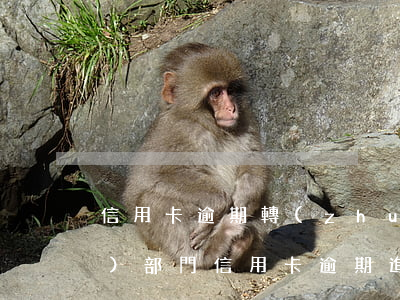 信用卡逾期轉(zhuǎn)交賬務(wù)部門(信用卡逾期進入?？▽徍瞬块T)