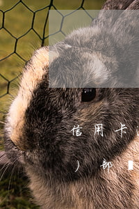 信用卡逾期轉(zhuǎn)入法務(wù)部門(信用卡逾期進(jìn)入法務(wù)處理階段)