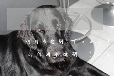信用卡逾期轉(zhuǎn)刑偵案例(因服刑信用卡逾期現(xiàn)被起訴該怎么做)