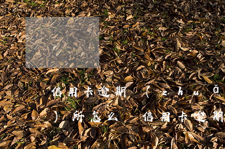 信用卡逾期轉(zhuǎn)到事務(wù)所怎么辦（信用卡逾期轉(zhuǎn)到事務(wù)所）