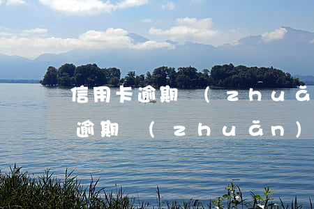 信用卡逾期轉(zhuǎn)到分行(信用卡逾期轉(zhuǎn)到分行好嗎)