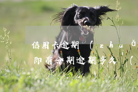 信用卡逾期轉(zhuǎn)外包催收多久(即有分期逾期多久會(huì)被外包催收公司催收)