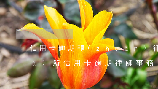 信用卡逾期轉(zhuǎn)律師事務(wù)所(信用卡逾期律師事務(wù)所發(fā)律師函給我了)
