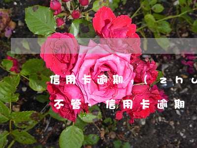 信用卡逾期轉(zhuǎn)接第三方銀行不管-信用卡逾期轉(zhuǎn)接第三方銀行不管怎么辦