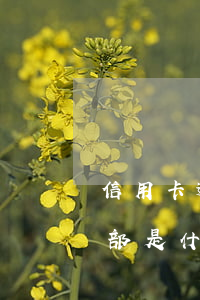 信用卡逾期轉(zhuǎn)法務(wù)部是什么(逾期法務(wù)執(zhí)行啥意思)
