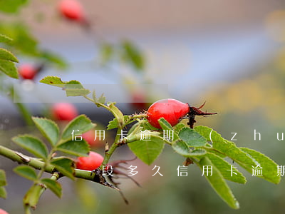 信用卡逾期轉(zhuǎn)法務(wù)階段多久(信用卡逾期轉(zhuǎn)法務(wù)階段多久)