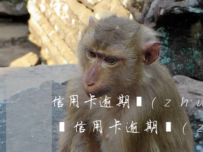 信用卡逾期轉(zhuǎn)法律程序怎么辦（信用卡逾期轉(zhuǎn)法律）