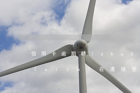 信用卡逾期轉(zhuǎn)法起訴(法院現(xiàn)在還接受信用卡逾期案件嗎)