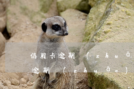 信用卡逾期轉(zhuǎn)移車子(信用卡逾期轉(zhuǎn)移車子)