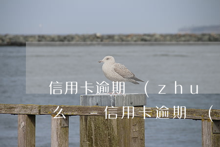 信用卡逾期轉(zhuǎn)給第三方了怎么辦-信用卡逾期轉(zhuǎn)給第三方了怎么辦理