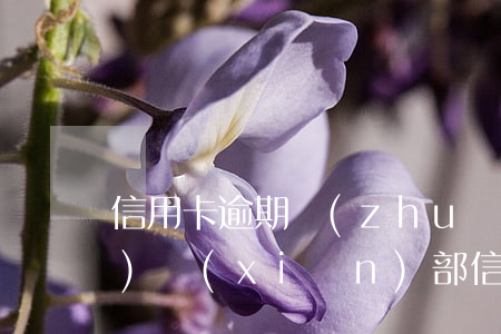 信用卡逾期轉(zhuǎn)風(fēng)險(xiǎn)部(信用卡逾期轉(zhuǎn)風(fēng)險(xiǎn)部)