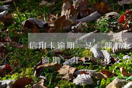 信用卡逾期轉法務部會怎樣(欠工行信用卡2萬逾期一年已經移交法務部)