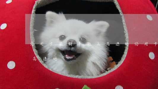 信用卡逾期车能上高速吗(信用卡逾期可以上高速吗)