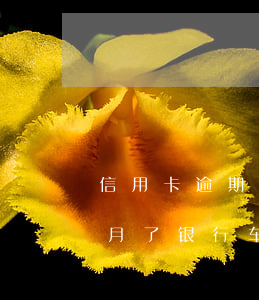 信用卡逾期车贷也一次性结清(车贷逾期三个月了,银行车贷必须一次性还清怎么搞)