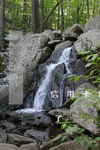 信用卡逾期车贷能下来吗(车贷是信用卡逾期了)