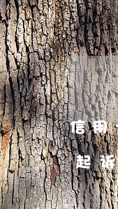 信用卡逾期转入司法程序(信用卡逾期被法院起诉流程)