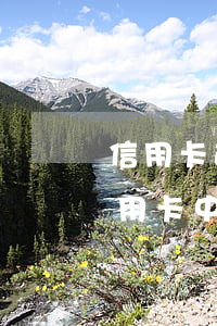 信用卡逾期转地方分行什么意思-逾期到信用卡中心