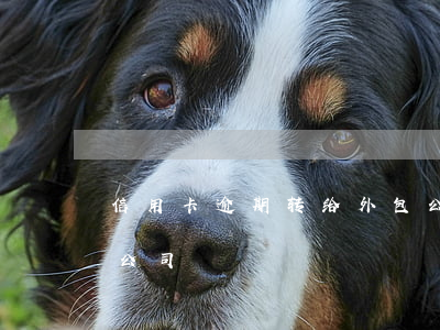 信用卡逾期转给外包公司催债 银行催债外包公司